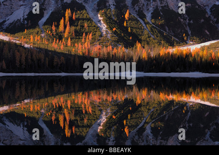 Pragser Wildsee, Fanes Alpen, Naturpark Fanes-Senes-Prags, South Tyrol, Italien Stockfoto