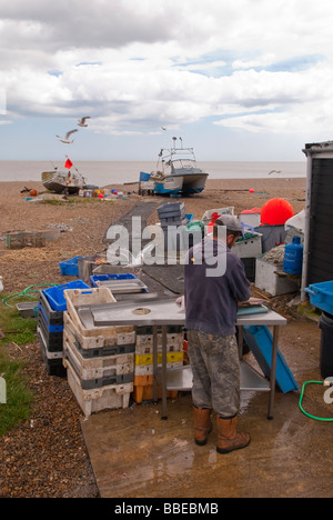 Ein einheimischer Fischer, die Zubereitung von frischem Fisch gefangen, zum Verkauf an seinem Shop Shop Stall am Strand in Aldeburgh, Suffolk, Uk Stockfoto