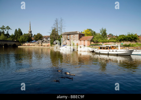 Festgemachten Boote auf dem Fluss Themse bei Wallingford, Oxfordshire, Vereinigtes Königreich Stockfoto