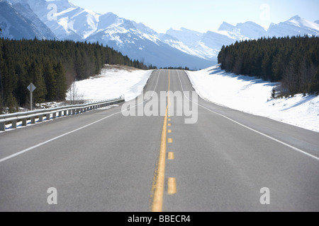 David Thompson Highway, Banff Nationalpark, Kanadische Rocky Mountains, Alberta, Kanada Stockfoto