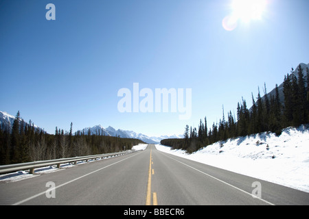 David Thompson Highway, Banff Nationalpark, Kanadische Rocky Mountains, Alberta, Kanada Stockfoto