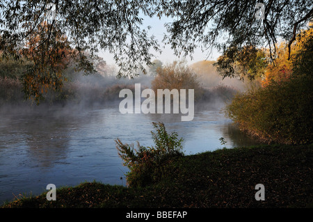 Morgennebel über Fluss, Amperauen, Fürstenfeldbruck, Bayern, Deutschland Stockfoto