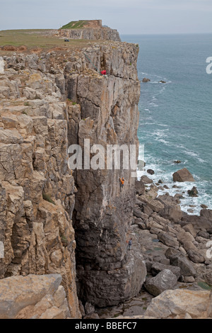 Bergsteiger auf verwitterte Kalkstein Klippen St Govans Kopf wilde Küste Pembrokeshire Coast National Park South Wales UK Stockfoto