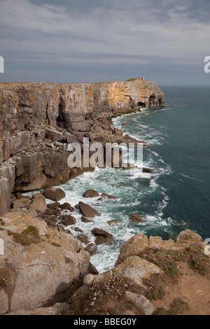 Verwitterte Kalkstein Klippen St Govans Kopf wilde Küste Pembrokeshire Coast National Park South Wales UK Stockfoto