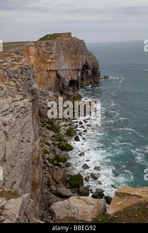 Verwitterte Kalkstein Klippen St Govans Kopf wilde Küste Pembrokeshire Coast National Park South Wales UK Stockfoto