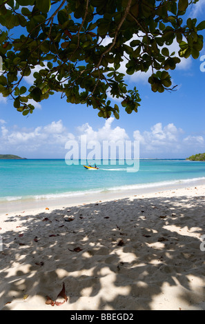 WEST INDIES Karibik Grenadinen Grenada Carriacou Paradise Beach in Esterre Bay. Mabouya und Sandy Inseln Menschen Schnellboot Stockfoto
