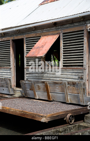 WEST INDIES Grenada Karibik Kakaobohnen trocknen in der Sonne auf einziehbaren Racks unter trocknen Schuppen auf Douglaston Estate Plantage Stockfoto