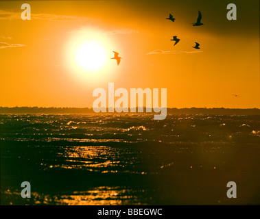 Sonnenuntergang über der Ostsee bei Kauguri Jurmala, Lettland Stockfoto