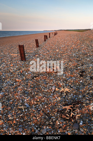 Salthouse Kiesstrand mit Blick auf Weybourne mit Rosten Küstenschutzes und Seestern Stockfoto