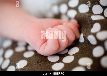 2 Wochen alten Säugling Hand auf braunen und weißen Polka punktiert Tagesdecke. Stockfoto