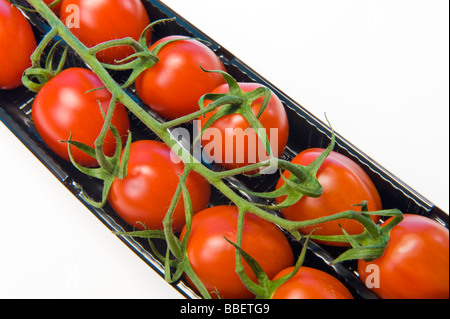 Pflaumentomate Rispe in schwarz verkaufen Box rot grün schwarz weißen Hintergrund Plumtomatoes Tast lecker gesund Gesundheit feine Mini Essen Stockfoto