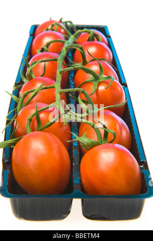 Pflaumentomate Rispe in schwarz verkaufen Box rot grün schwarz weißen Hintergrund Plumtomatoes Tast lecker gesund Gesundheit feine Mini Essen Stockfoto