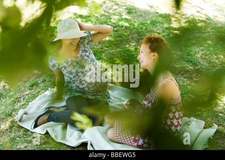 Zwei junge Frauen sitzen auf Decke, reden, angesehen durch Laub Stockfoto