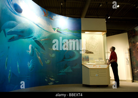 Mann sucht sich einen Bildschirm im Landesmuseum Pembina, Pembina, North Dakota Stockfoto