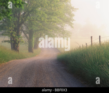 Am frühen Morgennebel anheben vom alten Hyatt Lane in Tennessee Cades Cove Great Smoky Mountains National Park Stockfoto