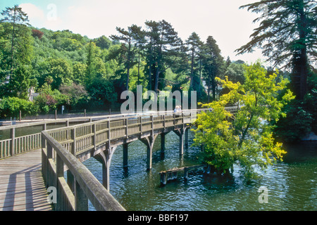 Die Fußgängerbrücke über die Themse von Marsh Lock Henley in Oxfordshire, England UK Stockfoto