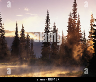 Morgennebel Spiegelung See in Mt Rainier Nationalpark Washington abheben Stockfoto