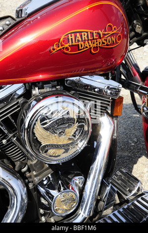 Wien, Harley Davidson Treffen 2009 Stockfoto