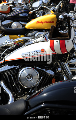 Wien, Harley Davidson Treffen 2009 Stockfoto