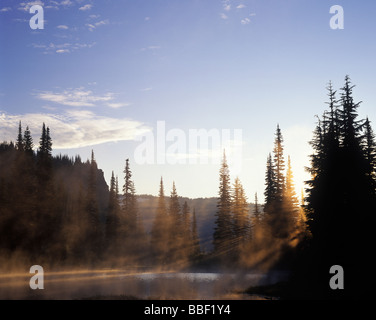 Early morning light rays pass through trees on the banks of Reflection Lake Mt Rainier National Park Washington Stockfoto