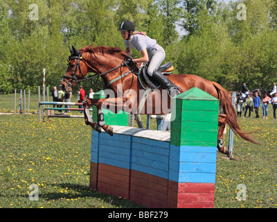 Reitsport Pferd Reiter Springreiter Wettbewerb Pferd springen Stockfoto