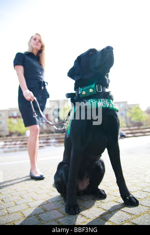 Blondine mit weißen kaukasischen Frau mit schwarzen Labrador Guide Hund in eine urbane Parklandschaft. Stockfoto