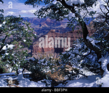 Wintersturm Lichtung am Mather Point im Grand CanyonNationalpark in Arizona Stockfoto