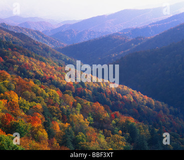 Herbst Farbe in den Smoky Mountains National Park-Tennessee Stockfoto