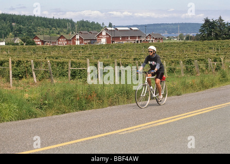 Frau Radfahrer fährt vorbei an Whidbey Island Weingut auf Whidbey Island WA USA Stockfoto