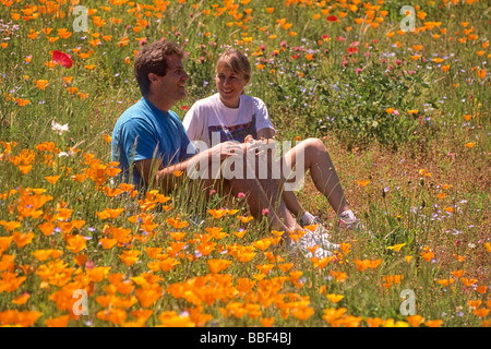 Mann und Frau genießen blühenden wilde Mohn auf der Olympic Halbinsel der US-Bundesstaat Washington USA Stockfoto
