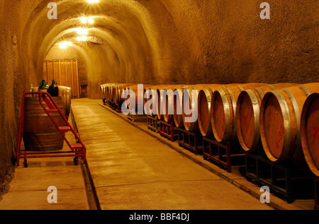 Fässer Wein Gärung in einem Weinkeller Stockfoto