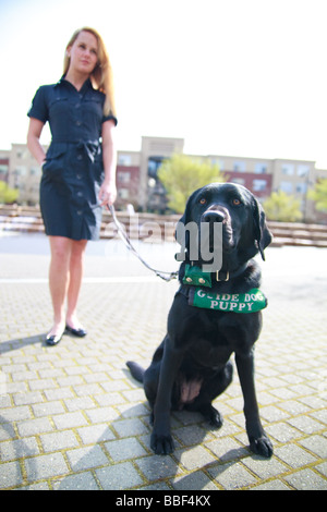 Blondine mit weißen kaukasischen Frau mit schwarzen Labrador Guide Hund in eine urbane Parklandschaft. Stockfoto