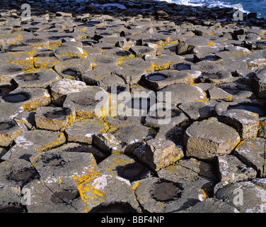 Sechseckige Formen erstellen Sie ein Puzzle aus diese Basaltsäulen an Nordirlands Giant es Causeway Stockfoto