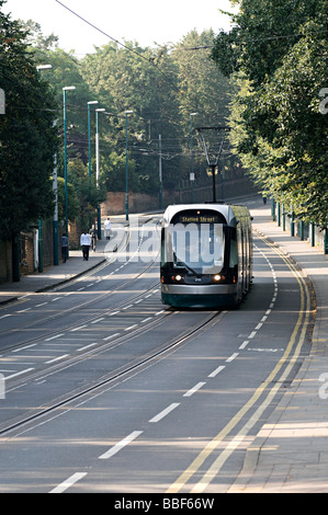 Nottingham-Straßenbahnen in und um Stadt und neben Nottingham Trent University Stockfoto