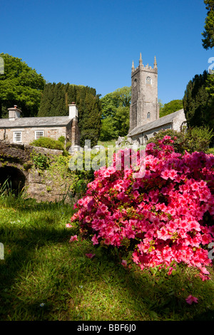 Altarnun Kirche im Frühjahr, Cornwall Stockfoto