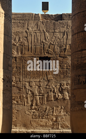 Wand Reliefs Bezirk des Amun Re Karnak Temple Complex in der Nähe von Luxor Ägypten Stockfoto