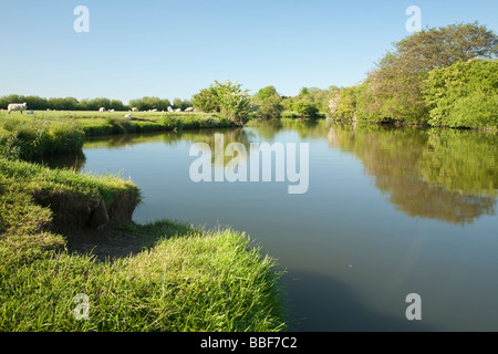 Oberlauf der Themse in der Nähe von Stanton Harcourt Oxfordshire UK Stockfoto