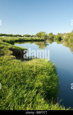 Oberlauf der Themse in der Nähe von Stanton Harcourt Oxfordshire UK Stockfoto