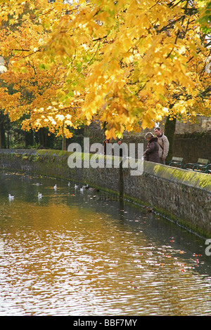 Herbst Herbst Farbe Farbe um den Bischofspalast Graben bei Wells, Somerset, England, UK Stockfoto