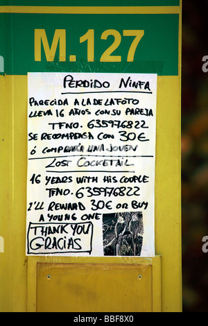 Zweisprachige Schilder, melden Sie sich an zwei Sprachen, Englisch und Spanisch, geschrieben auf einer Bushaltestelle in Mijas Costa, Costa Del Sol, Andalusien, Spanien Stockfoto