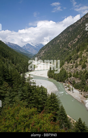 Der Ganges-Fluss. In der Nähe von Gangotri. Uttarakhand. Indien Stockfoto