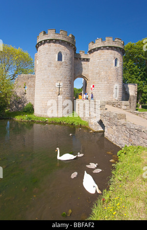 Höckerschwan Familie Cygnus Olor in Graben in Whittington Castle in der Nähe von Oswestry Shropshire England UK United Kingdom GB Great Britain Stockfoto