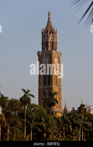 Rajabhai Clock Tower Universität Mumbai in Mumbai Indien Stockfoto