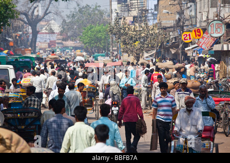 Spice Market in Delhi Indien Stockfoto