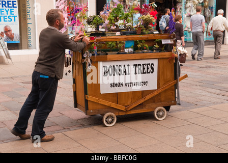 Eine Straße Händler Mann Verkauf von Bonsai-Bäumen aus einem mobilen Grabhügel in der Innenstadt von Norwich Norfolk Uk Stockfoto