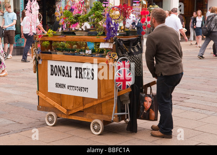 Eine Straße Händler Mann Verkauf von Bonsai-Bäumen aus einem mobilen Grabhügel in der Innenstadt von Norwich Norfolk Uk Stockfoto