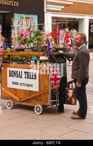 Eine Straße Händler Mann Verkauf von Bonsai-Bäumen aus einem mobilen Grabhügel in der Innenstadt von Norwich Norfolk Uk Stockfoto