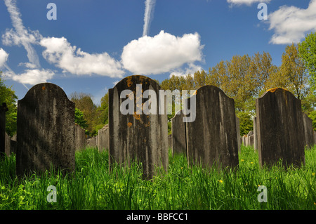 Ein jüdischer Friedhof in Amsterdam Stockfoto