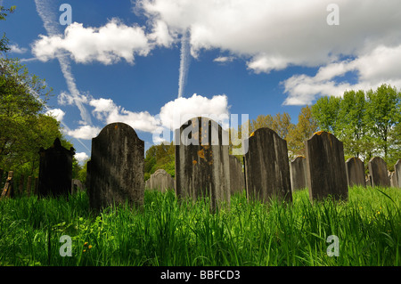 Jüdischer Friedhof in Amsterdam Stockfoto