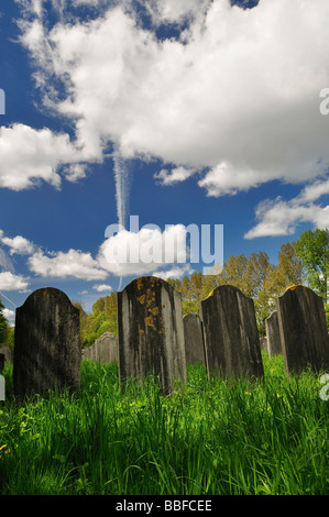 Ein jüdischer Friedhof in Amsterdam. Stockfoto